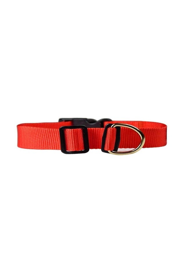 Truvic Durable Adjustable Dog Collar - Classic Nylon - Red - Medium - Image 1